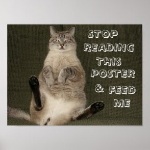 Cat "Stopp Reading This Poster & Füttre Me" Poster