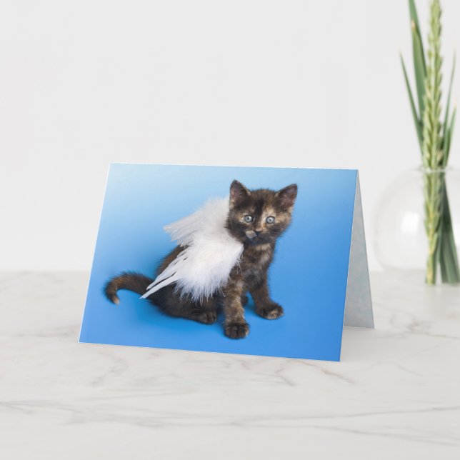 Cat Sympathy Card Karte (Vorderseite)