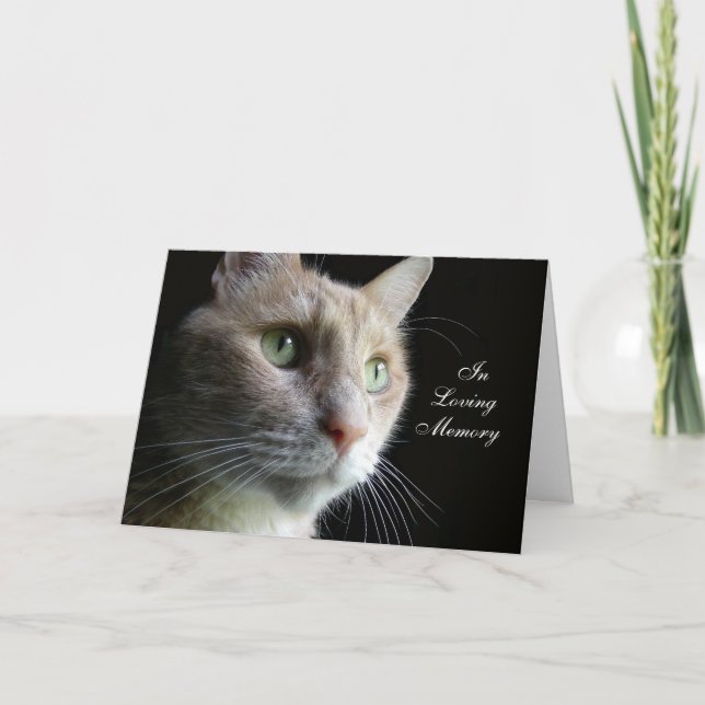 Cat Sympathy Card Karte (Vorderseite)