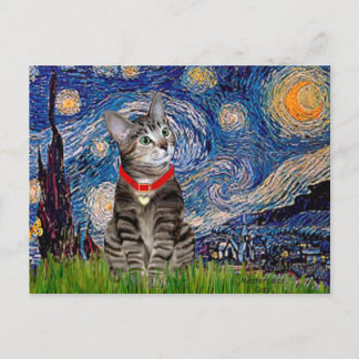 CAT (Tabby2) - Starry Night Postkarte