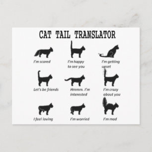 CAT TAIL TRANSLATOR POSTKARTE