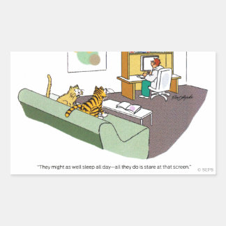 Cat Talk Rechteckiger Aufkleber