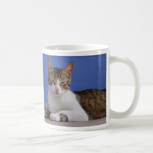 Cat-Tasse Kaffeetasse