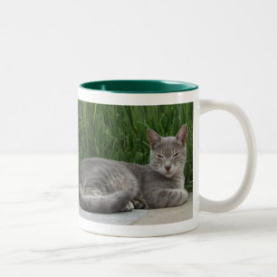 Cat-Tasse Zweifarbige Tasse