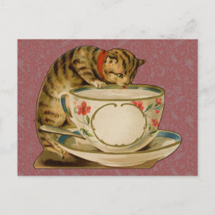 Cat Teacup Niedlich Vintag Viktorianisch Postkarte