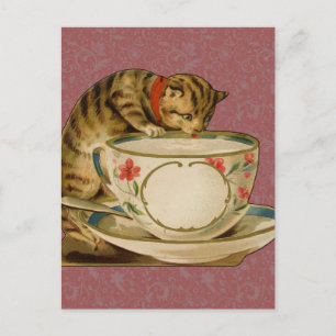 Cat Teacup Niedlich Vintag Viktorianisch Postkarte