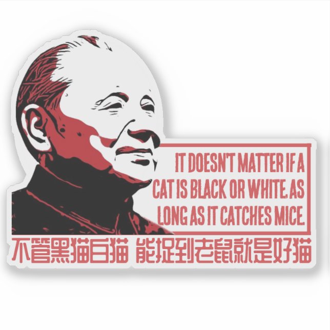 CAT THEORY AUFKLEBER (Vorderseite)