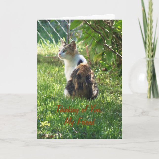 Cat/Thinking von dir, mein Freund Karte (Vorderseite)