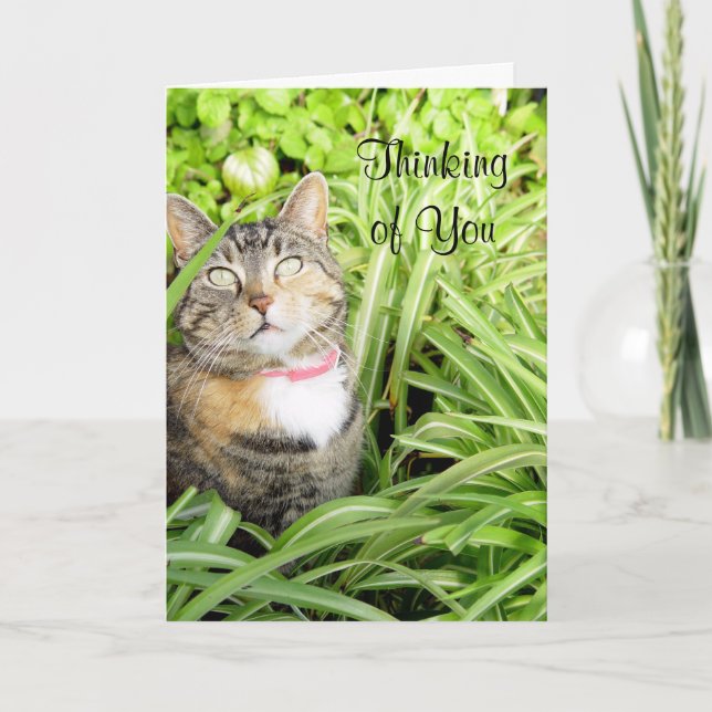 Cat Thinking Your Card Karte (Vorderseite)