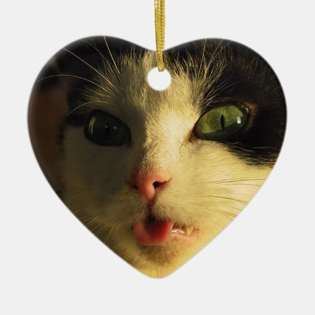Cat Tongue Keramikornament (Vorne)