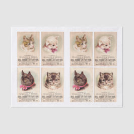 Cat Trade Cards von Helena Maguire (1860-1909) Seidenpapier