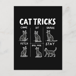 Cat Tricks Purr Fectly Unglaublich witzig Feline F Feiertagspostkarte