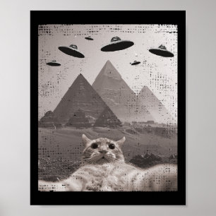 Cat Ufo Meme - Funny Cat Selfie with Ufos Poster