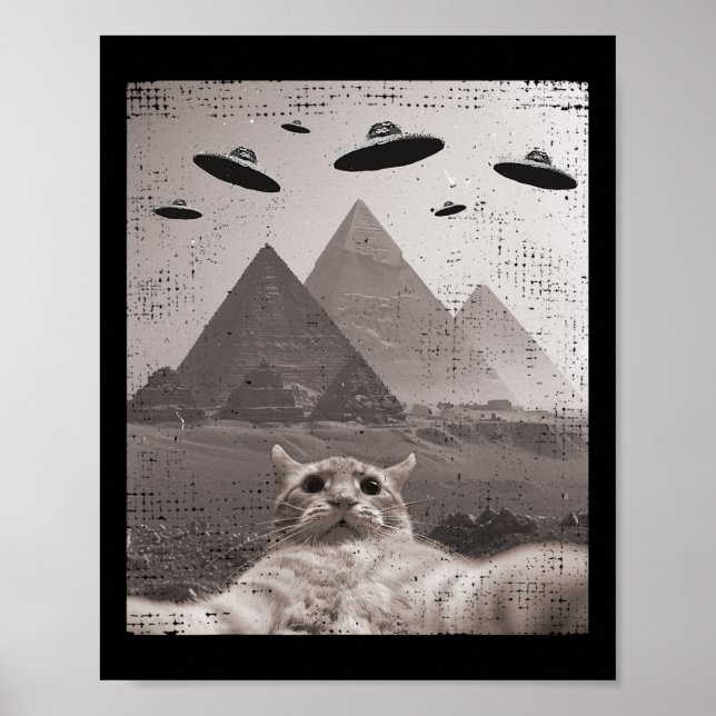 Cat Ufo Meme - Funny Cat Selfie with Ufos Poster (Vorne)
