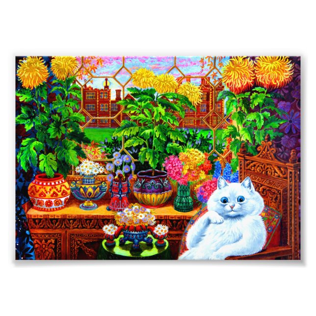 Cat Uni Master Fotodruck (Vorne)