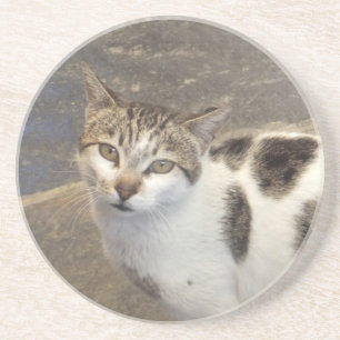 Cat Untersetzer
