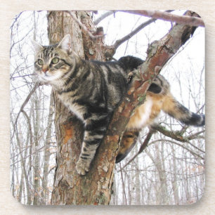 Cat Untersetzer