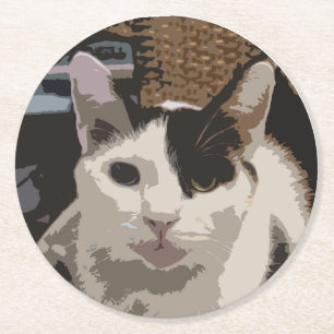 Cat Untersetzer