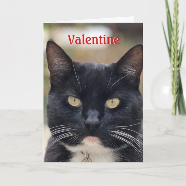 Cat Valentine Card Feiertagskarte (Vorderseite)