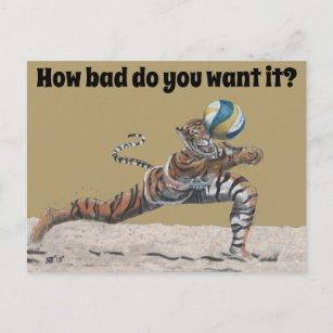 Cat Warrior Beach Volleyball Fantasy Art Postcard Postkarte