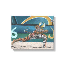 Cat Warrior Beach Volleyball Fantasy Canvas Print
