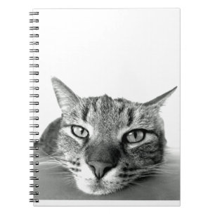 Cat Watching Notizblock
