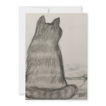 Cat Watching über uns