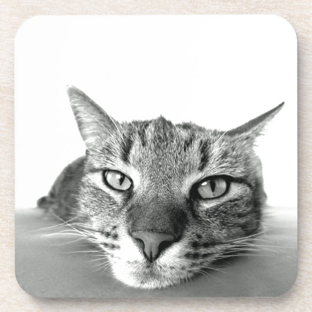 Cat Watching Untersetzer (Vorderseite)