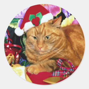 Cat Wear Santa Claus Hat - Aufkleber