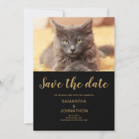Cat Wedding Foto Flat Save the Date Card