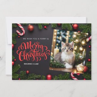 Cat-Weihnachtskarte Feiertagskarte