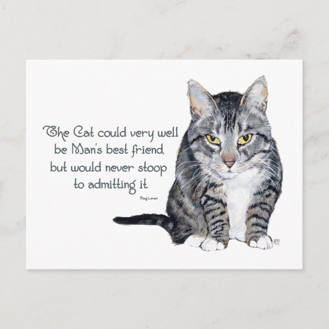 Cat Wisdom - und Freundschaft Postkarte (Vorderseite)