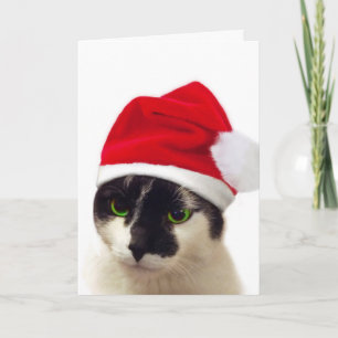 Cat with Santa’s Hat Feiertagskarte