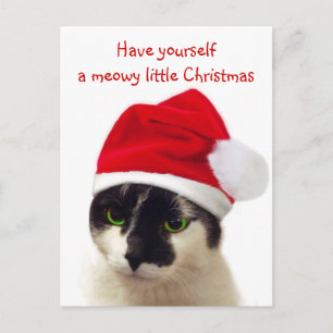 Cat with Santa’s Hat Feiertagspostkarte