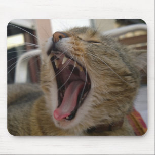 Cat yawn mousepad
