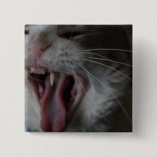 Cat Yawning Button