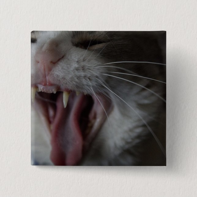 Cat Yawning Button (Vorderseite)