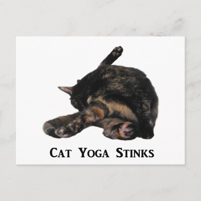 Cat Yoga Stinks Postkarte (Vorderseite)