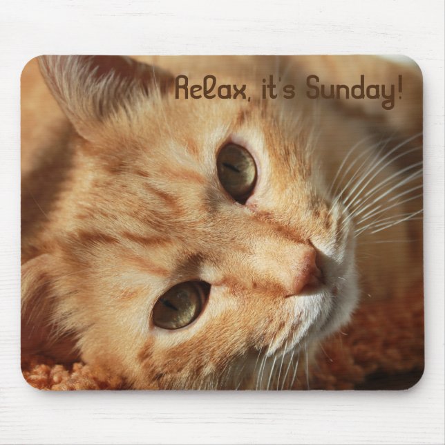 Cat-Zitat Mousepad (Vorne)