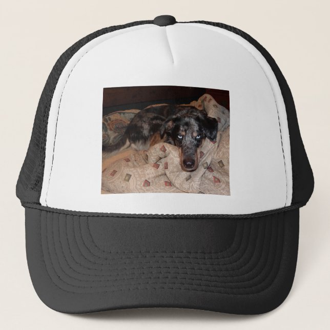 Catahoula Leopard Dog Snoozing Truckerkappe (Vorderseite)