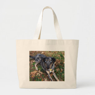 Catahoula Leopard-Hundeniederlegung Jumbo Stoffbeutel