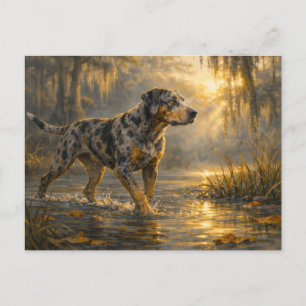 Catahoula Sunrise   Jagdhund Kunst   Postkarte