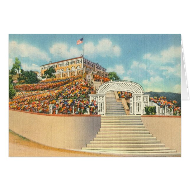 Catalina (Vorderseite (Horizontal))