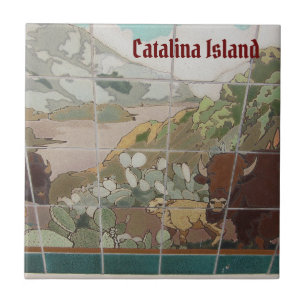 CATALINA INSEL KERAMIKFLIESE CATALINA BUFFALO