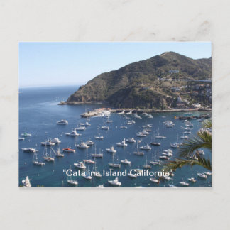 , "Catalina Island California" Postkarte