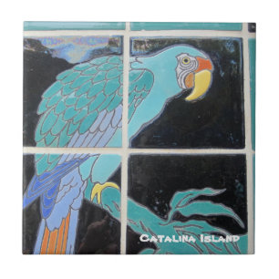 CATALINA ISLAND CERAMIC TILE FLIESE