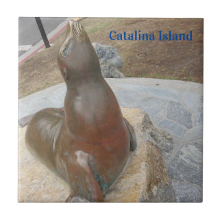 CATALINA ISLAND CERAMIC TILE THE BEN FLIESE
