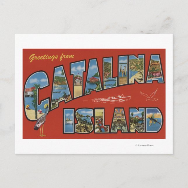 Catalina Island, Kalifornien - Großbuchstaben Postkarte (Vorderseite)