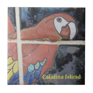 CATALINA ISLAND KERAMISCHE FLIESE DAS AUGE VON CAT