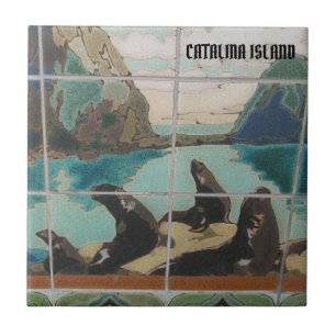 CATALINA ISLAND KERAMISCHE FLIESEN DIE INSELBEWOHN